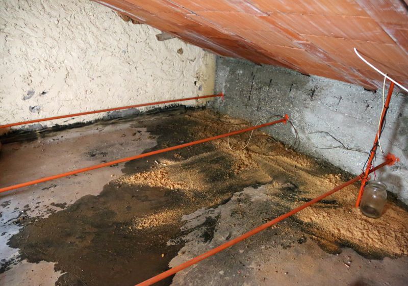 Leaking Ceiling Repair in Denver, CO