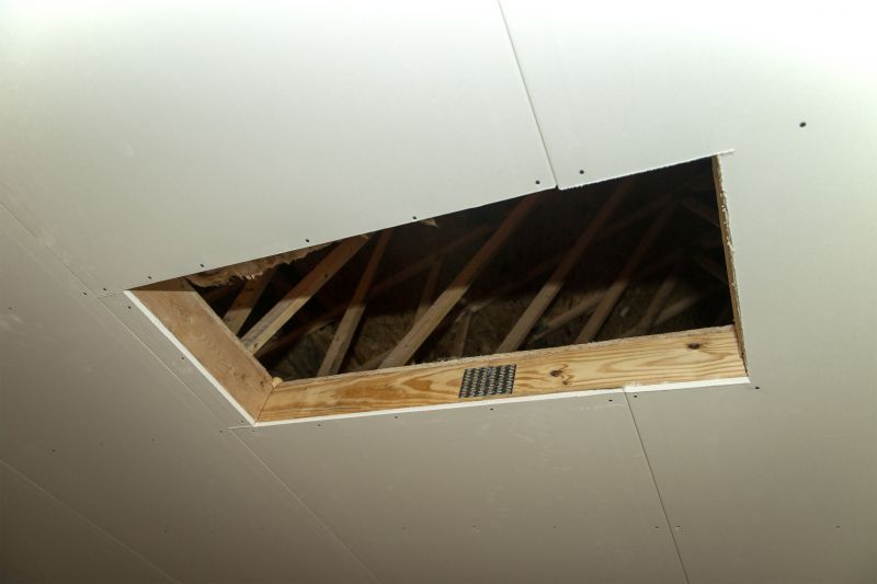 Attic Water Damage Repair in Katy, TX
