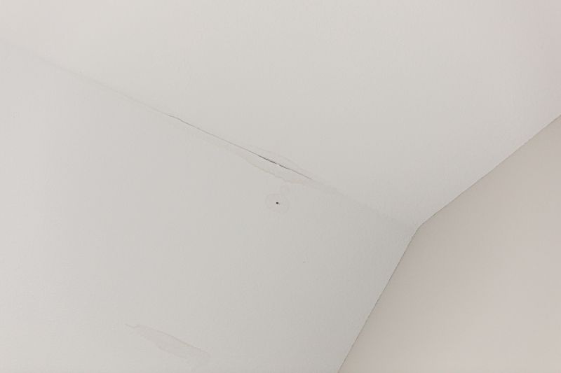 Attic Water Damage Repair in Denver County, CO