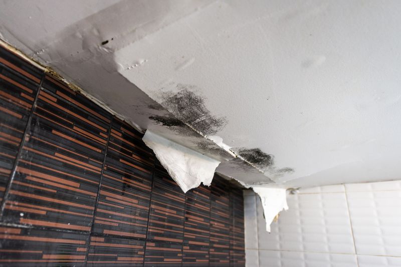 Ceiling Leak Repair Service in Katy, TX