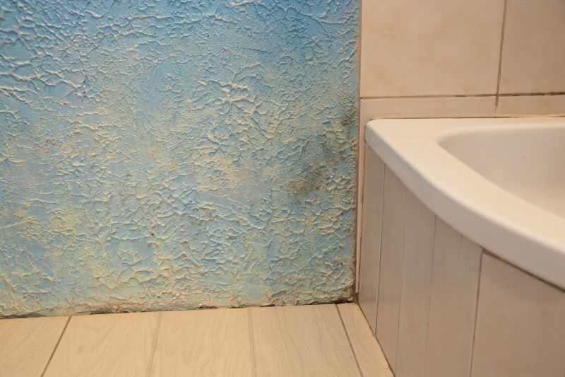 Water Damage Ceiling Repair in Conroe, TX